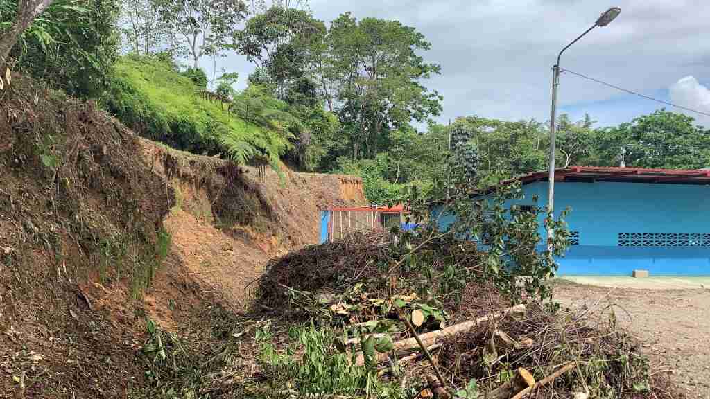 ADENAPEZ siembra más de 225 árboles 2 AGPA2791