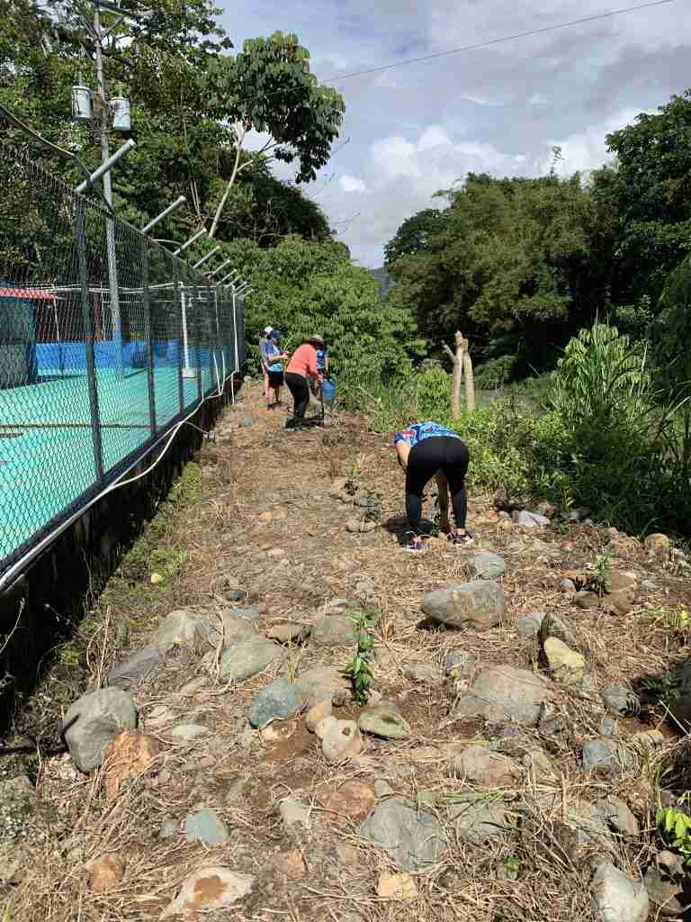 ADENAPEZ siembra más de 225 árboles 3 IMG 0744