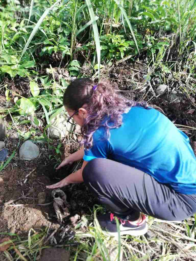 ADENAPEZ siembra más de 225 árboles 42 IMG 0953
