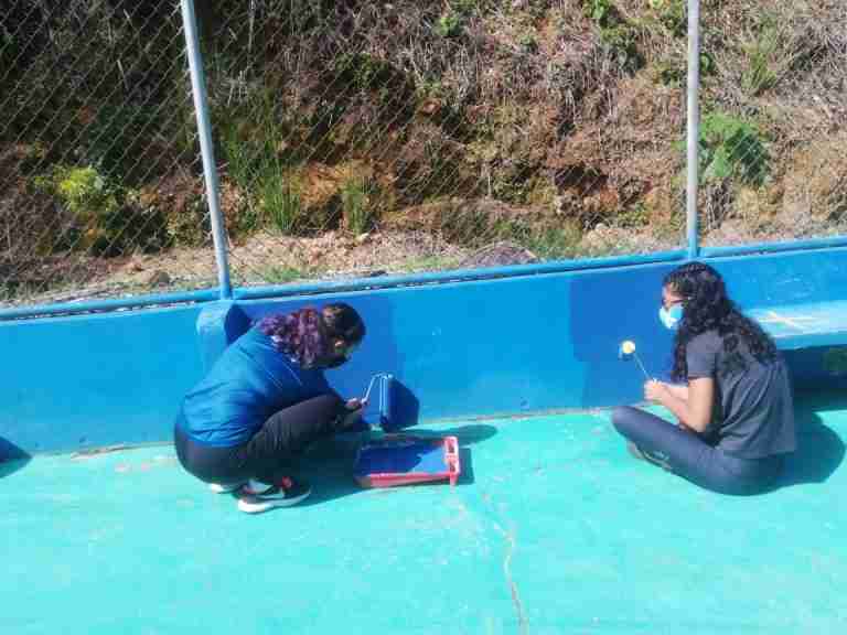 ADENAPEZ pinta y embellece la piscina y sus alrededores 56 ADENAPEZ pinta y embellece la piscina y sus alrededores